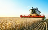 Al via il nuovo Bando ISI INAIL Agricoltura: investimenti in materia di salute e sicurezza sul lavoro nel settore agricolo - Warrant